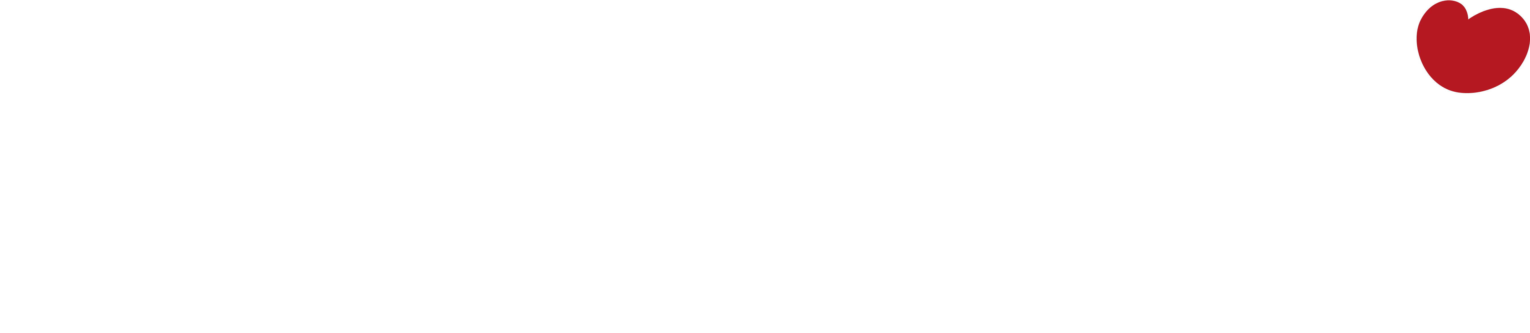 Партнёры — логотип 2