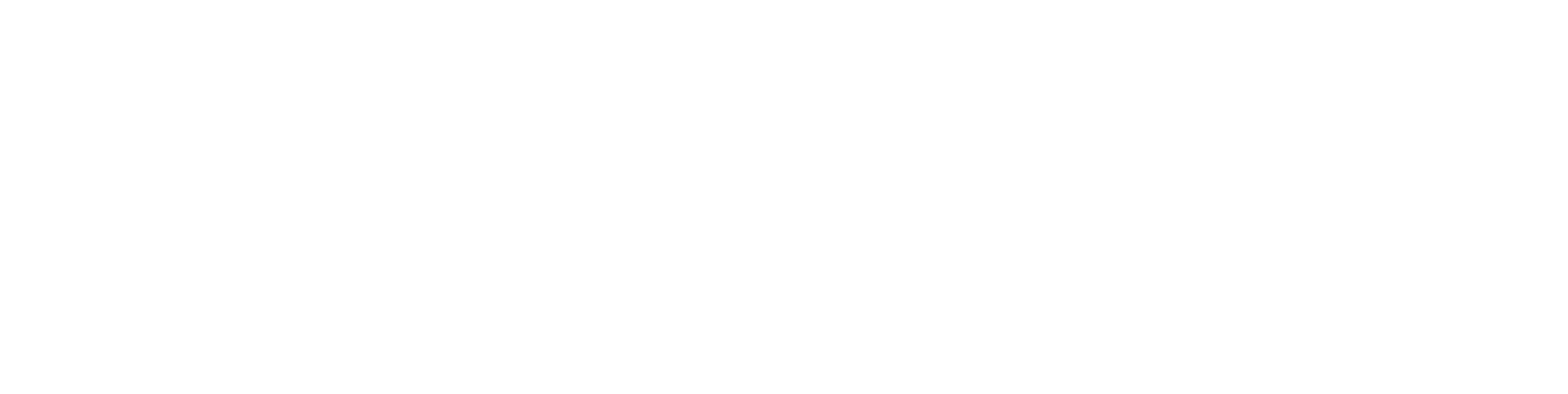 Партнёры — логотип 1